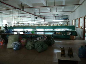 東莞市農村社區集體資產管理網在東風社區的應用 網絡工程實踐與展望